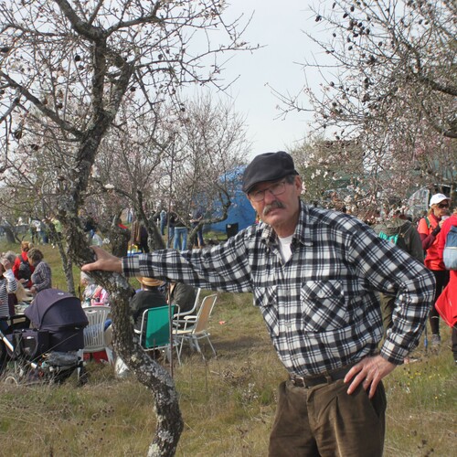 XXV Muestra almendro en flor (70)